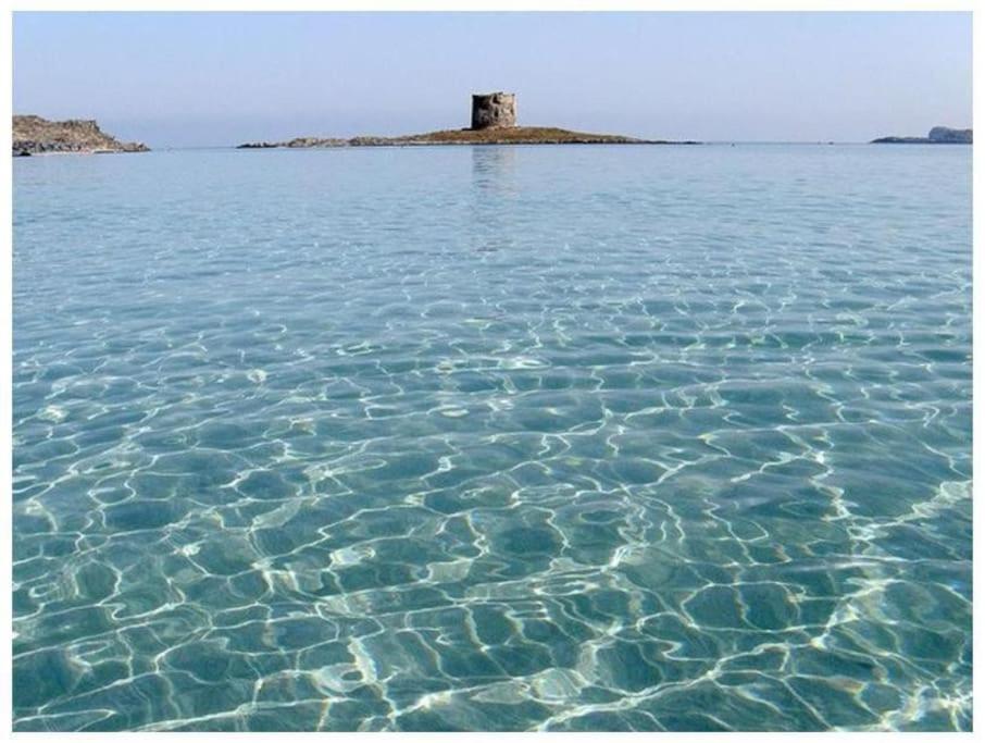 Апартаменты L' Elicriso, A Pochi Passi Dal Mare Con Giardino Privato - The Elicriso, A Few Meters From The Sea, With Private Garden Стинтино Экстерьер фото