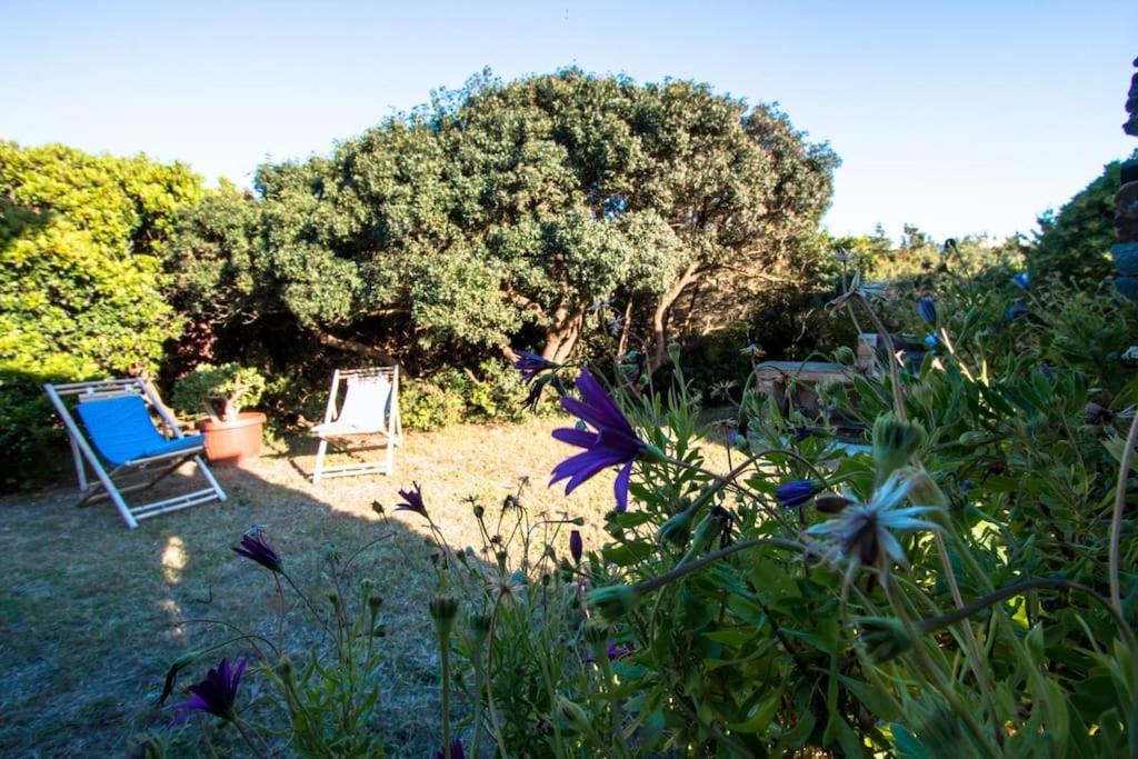 Апартаменты L' Elicriso, A Pochi Passi Dal Mare Con Giardino Privato - The Elicriso, A Few Meters From The Sea, With Private Garden Стинтино Экстерьер фото