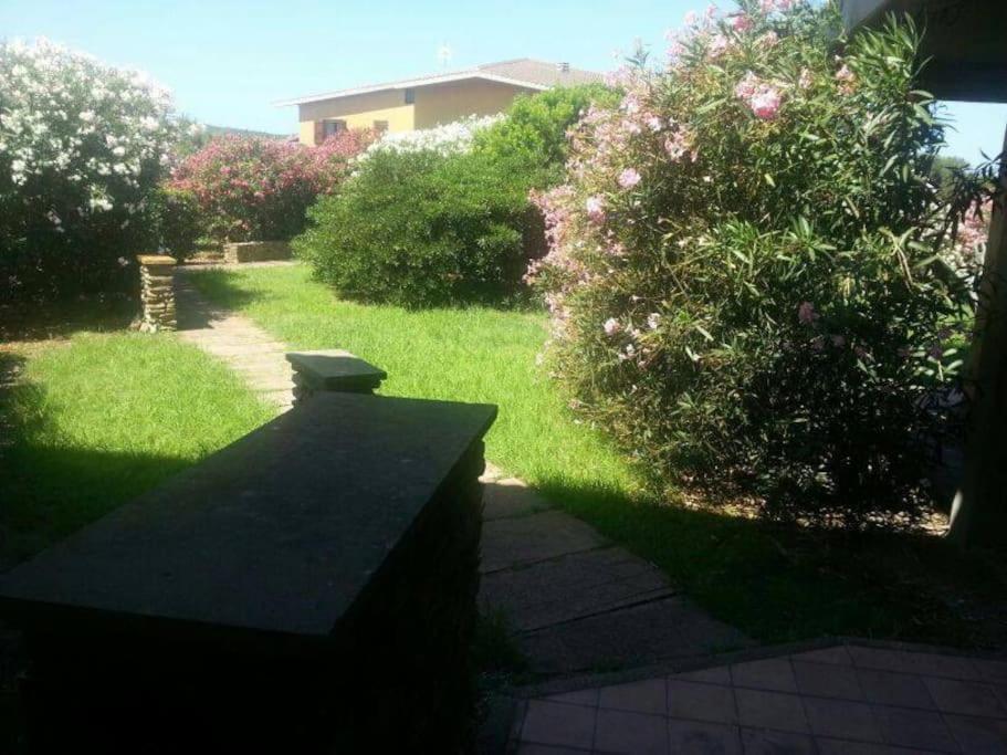 Апартаменты L' Elicriso, A Pochi Passi Dal Mare Con Giardino Privato - The Elicriso, A Few Meters From The Sea, With Private Garden Стинтино Экстерьер фото