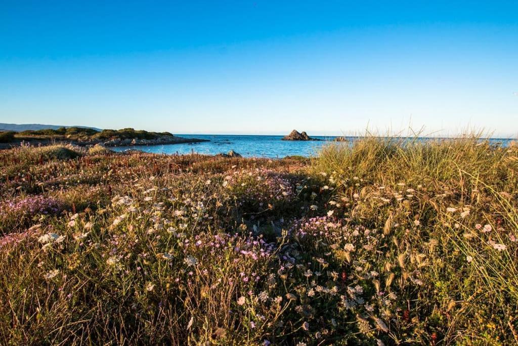 Апартаменты L' Elicriso, A Pochi Passi Dal Mare Con Giardino Privato - The Elicriso, A Few Meters From The Sea, With Private Garden Стинтино Экстерьер фото