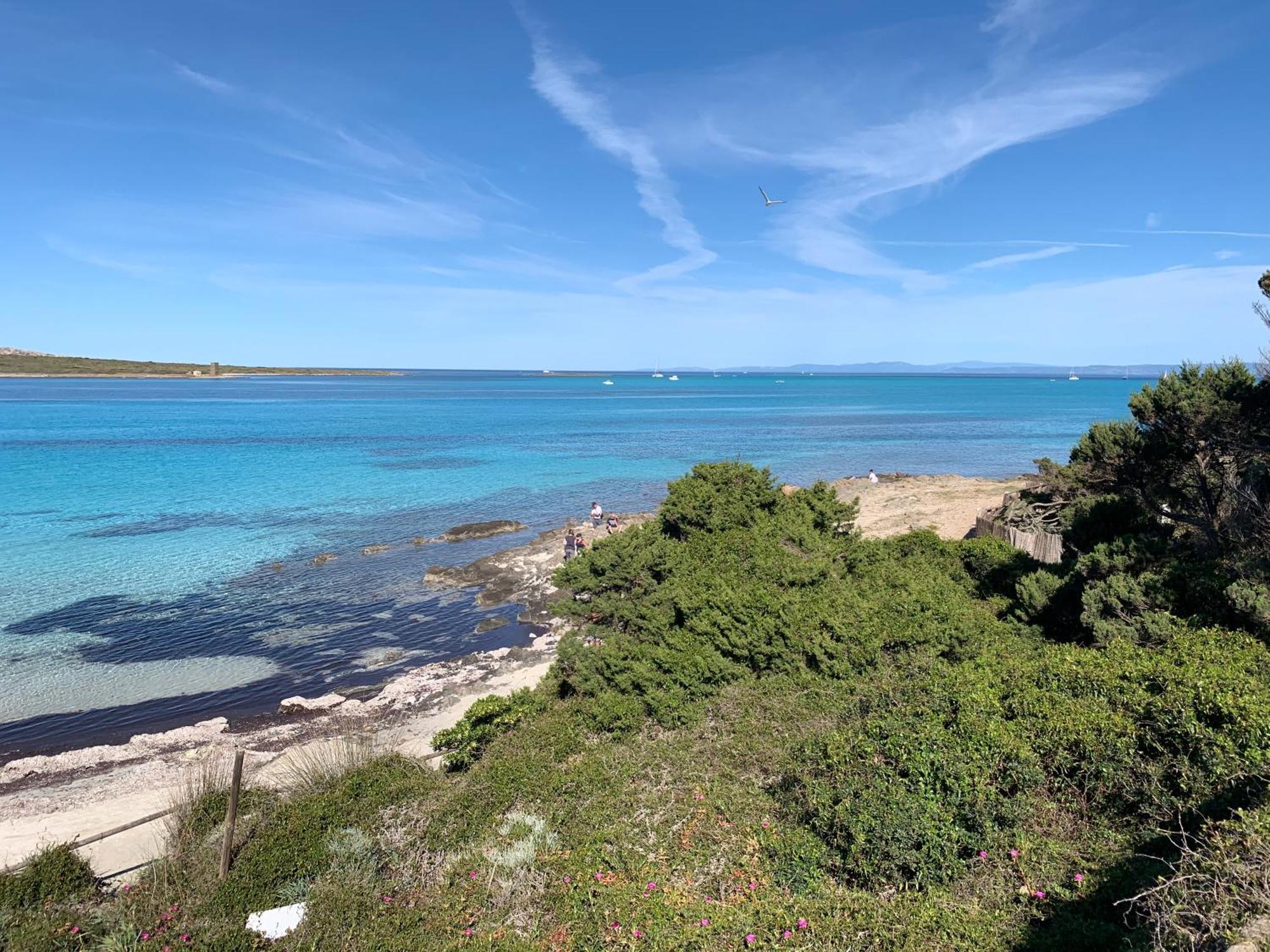 Апартаменты L' Elicriso, A Pochi Passi Dal Mare Con Giardino Privato - The Elicriso, A Few Meters From The Sea, With Private Garden Стинтино Экстерьер фото