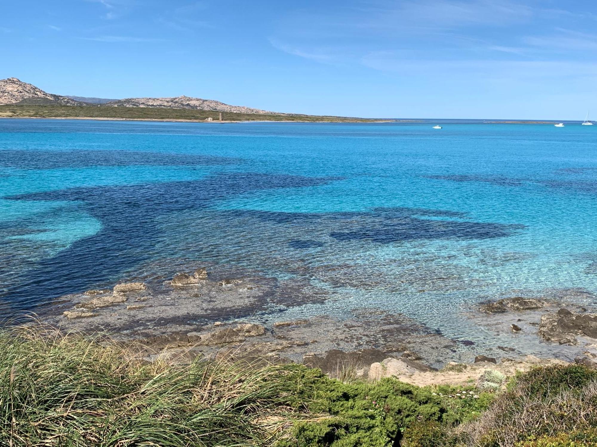 Апартаменты L' Elicriso, A Pochi Passi Dal Mare Con Giardino Privato - The Elicriso, A Few Meters From The Sea, With Private Garden Стинтино Экстерьер фото